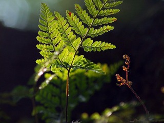P8310049.jpg