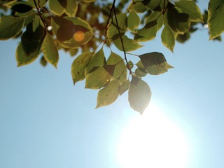 PB120196.jpg