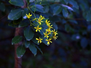 PB130173.jpg