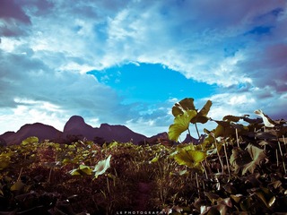 P7030009-3.jpg