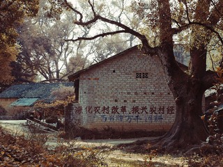 PA300298...jpg