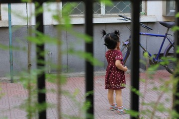 猫咪