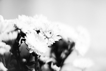 IMG_5017.jpg