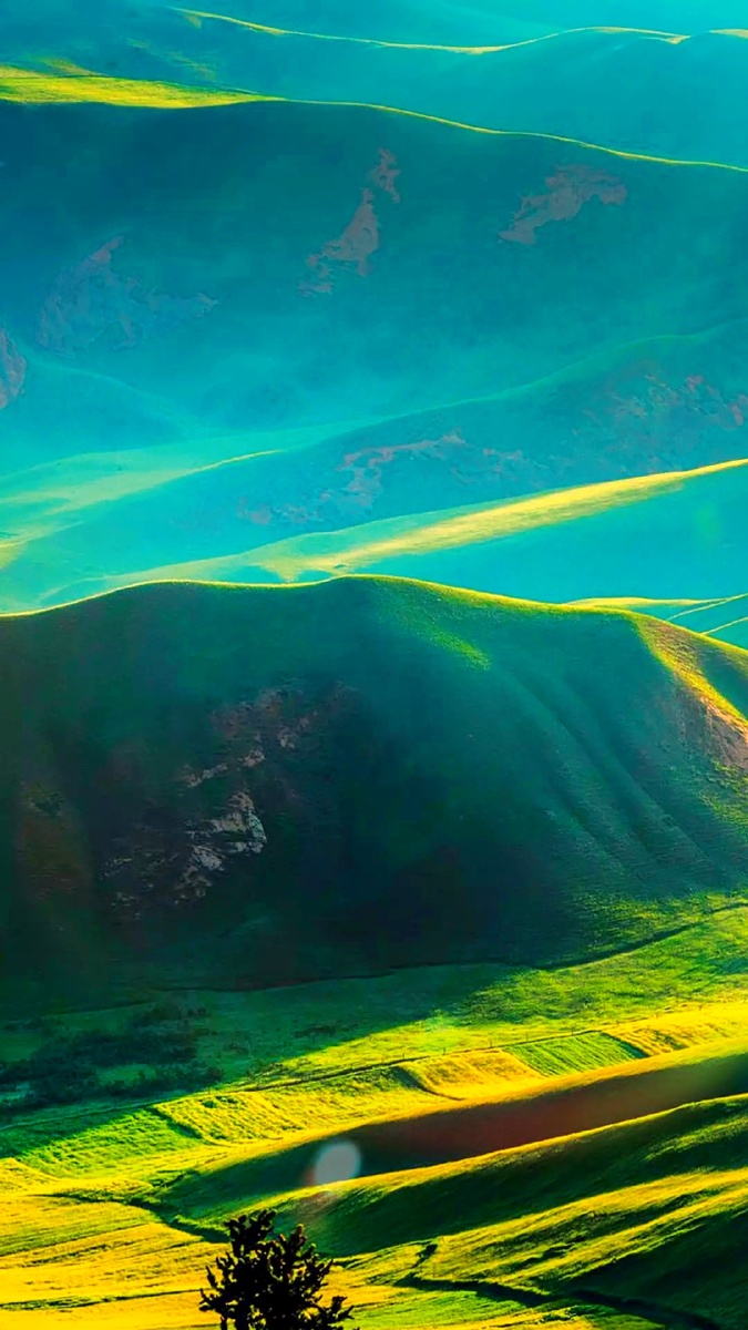 青山看不厌流水趣何长