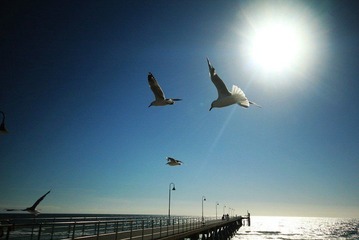 IMG_6386.jpg