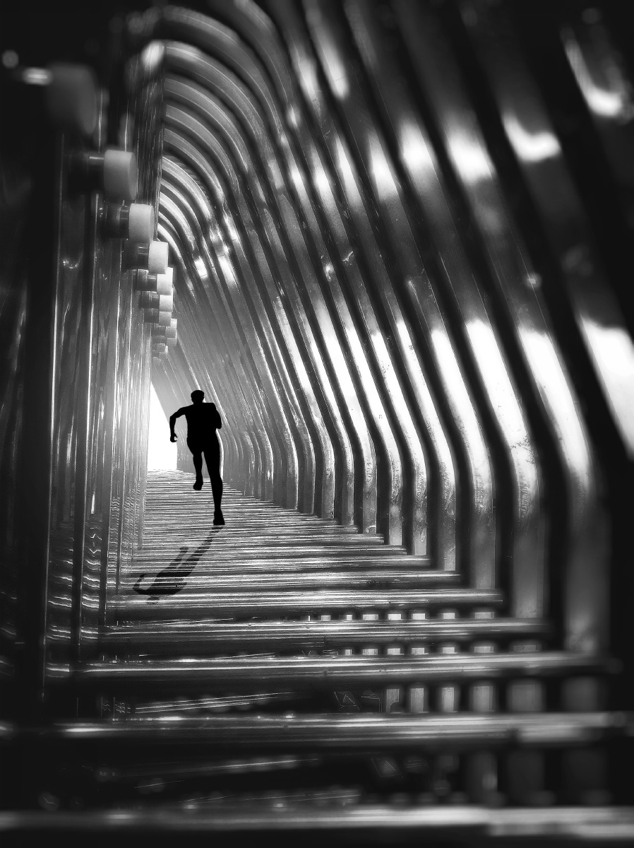 『光』记金属围栏中跑向希望的小黑影