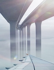 3D7B7D84-1638-409A-91ED-EE4A6687BEE6/L0/001