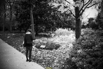 _MG_0270.jpg