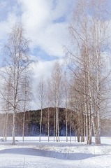 _3262200.jpg