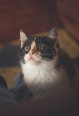 84401