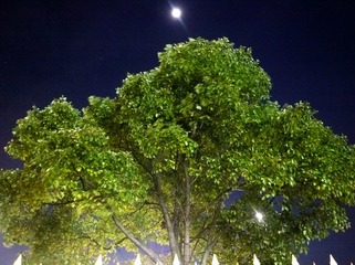 498488
