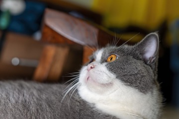105127