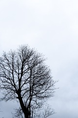16634