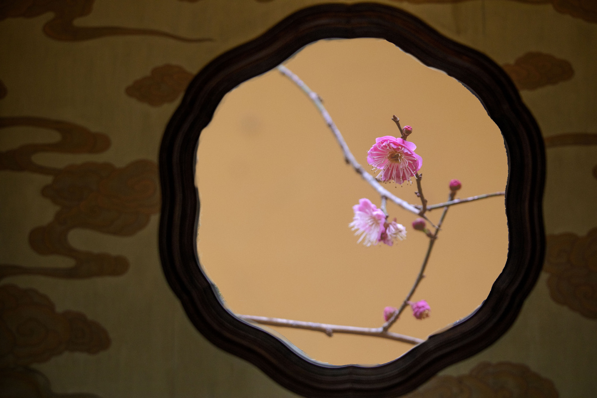 古风寺院梅10
