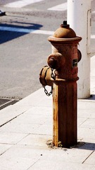 DSC07523.JPG