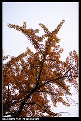 DSC08520.JPG
