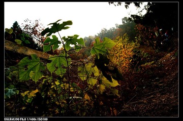 DSC08712.JPG