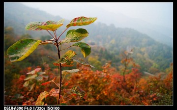 DSC08746.JPG