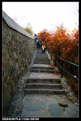 DSC08754.JPG