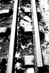 DSC09316.JPG