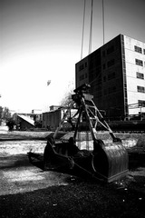 DSC09335.jpg