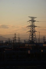 DSC09531.JPG