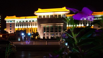 PA020987.jpg
