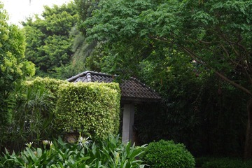 小区中的庭院