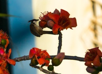 20180313-DSC06955