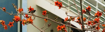 20180320-DSC07822