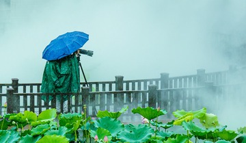 洪湖公园_20230616_110