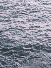 316C36FE-3794-451F-B7C2-AB7201E19D8E/L0/001