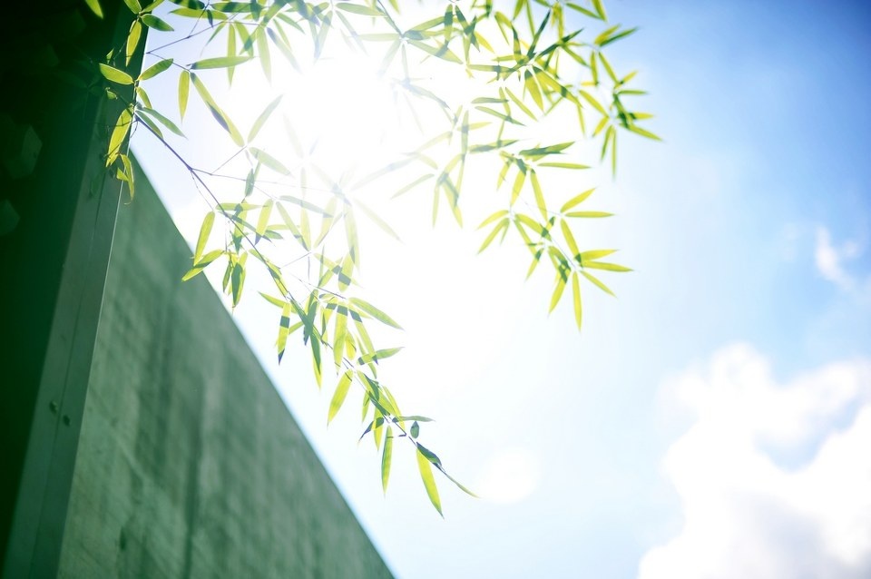 被风吹过的夏天