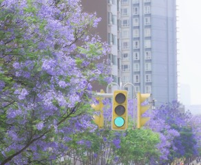 5556CD29-B12F-48CE-BA83-2862A29294EB/L0/001