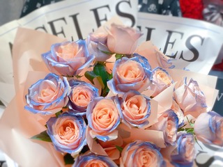 5F3D4962-F23C-4B21-9CBB-C4B05BB8B88D/L0/001