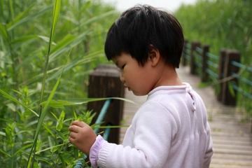 叶子真好玩