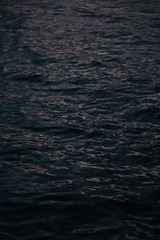 8C48A235-9934-4702-9D41-506FB417403C/L0/001