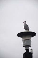 DSC_2852.jpg