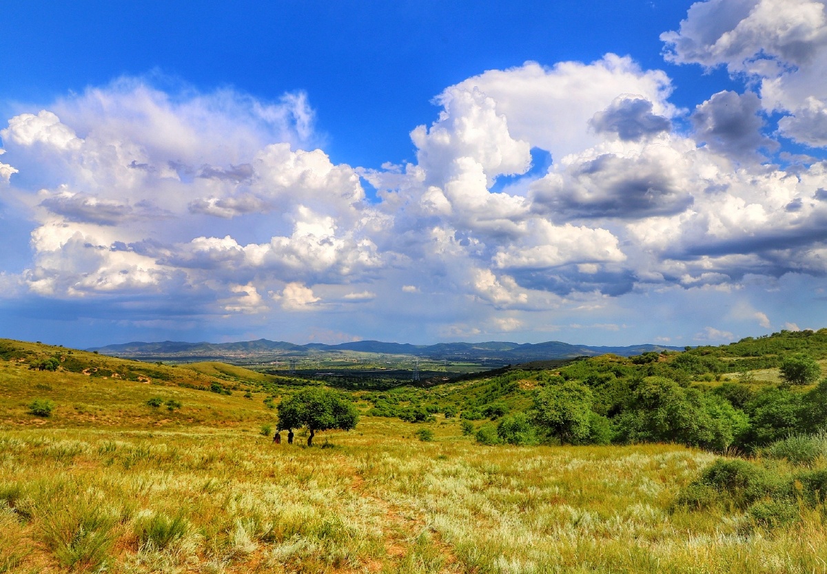 草坪草原干草地放牧蓝天    打开微信,使用"扫一扫"即可将网页分享之