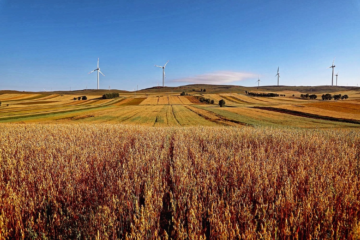 张家口市康保县秋色正浓这个季节正是摄影人拍摄的时候也是坝上五彩
