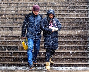 《风雪情》