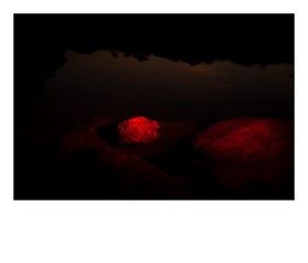 1006015