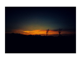 13065