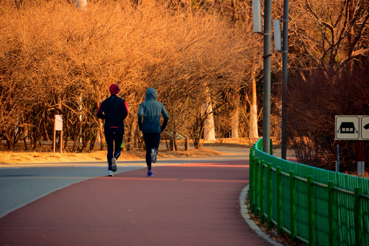 《奥林匹克公园》忍不住换上了衣服也跑了会,在这里跑步锻炼身体的话