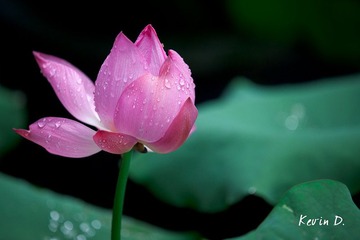 20110605-_MG_0659