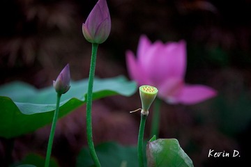 20110605-_MG_0693