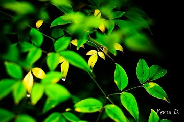 20111014-DSC01311.jpg