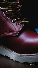 20111012-_DSC1158.jpg
