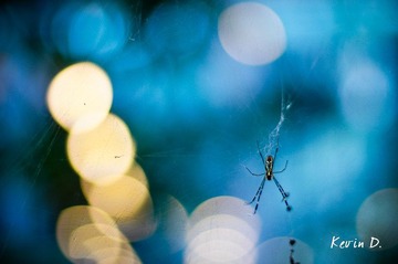 20111030-DSC01782.jpg