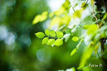 20111030-DSC01802.jpg